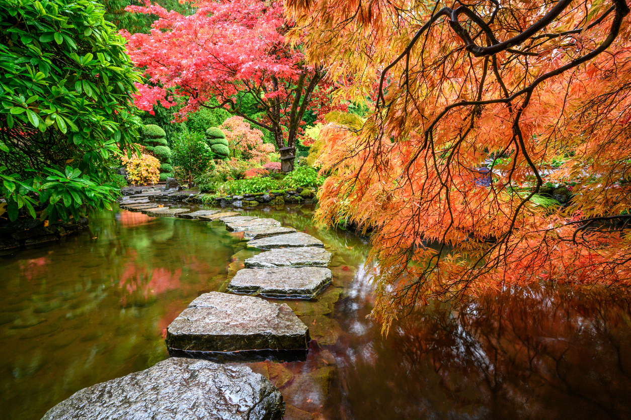 Perfect Peace