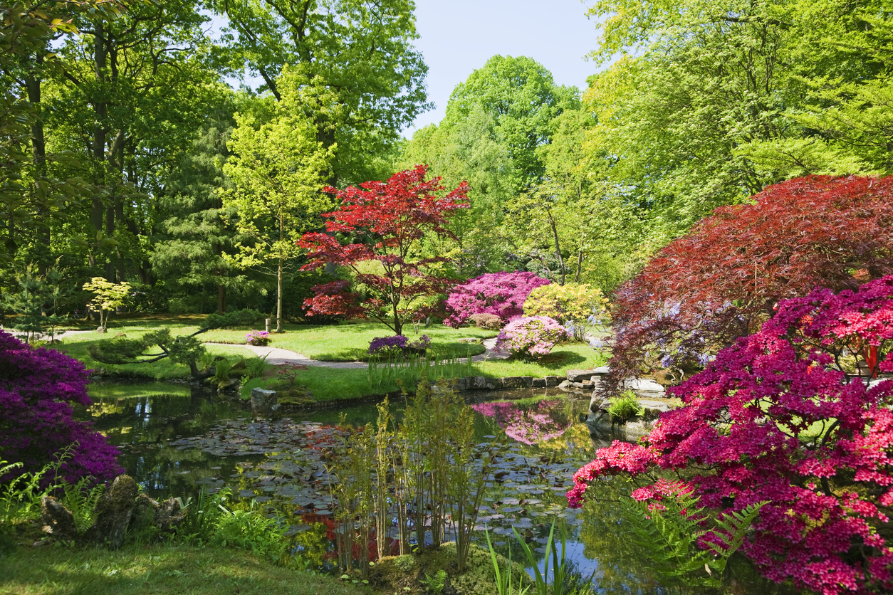 The Garden is Full